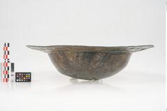 Foto von Bronzebreitrandschale (NHMW-PRAE-025473)